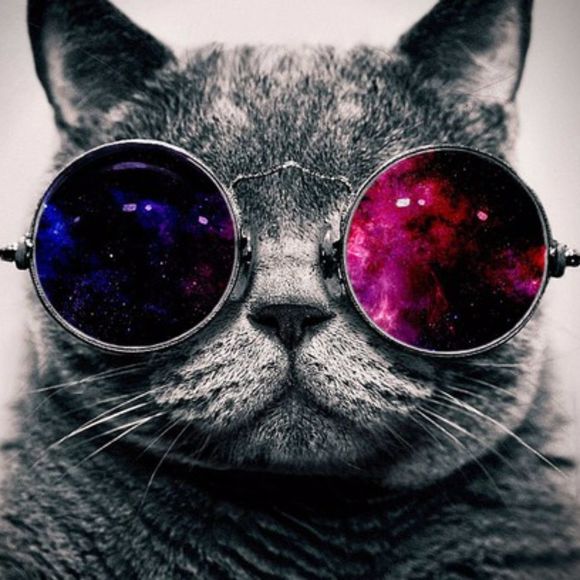 Meet your Posher, Haroon - Picture 1 of 1